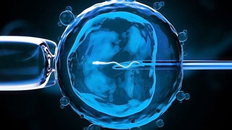 Edo Hospital Acquires IVF Equipment, Expands Access to Fertility Treatment in South-South